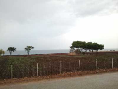 Il "Parco dei Trulli" tra Cozze e San Giovanni